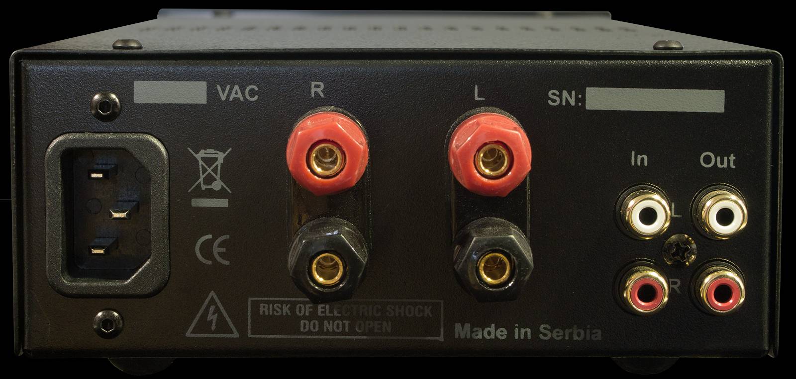 Zest amplifier rear view